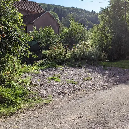 Le Petit Moulin Appartement Fouday Buitenkant foto